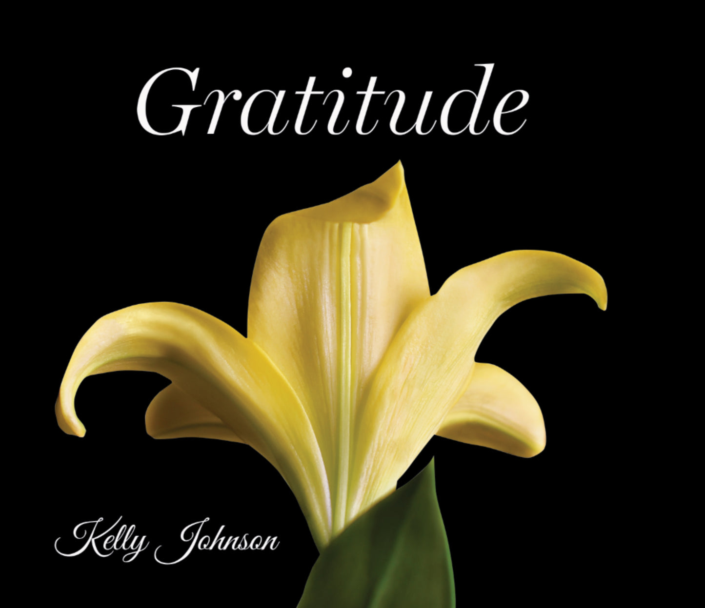 Book cover: Gratitude black background, picture of a yellow lily