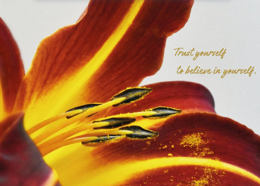 Lily - Trust Yourself to Believe In Yourself