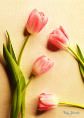 The Series Tulip Tales: A Mother's Tale Notecards