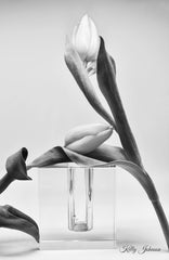 Tulips Black & White fine art notecards, premium artistic stationery